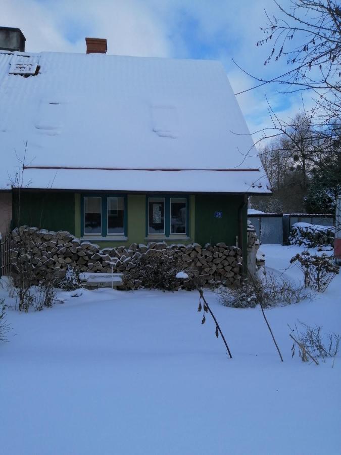 Zielony Domek W Sztynorcie Sztynort Extérieur photo