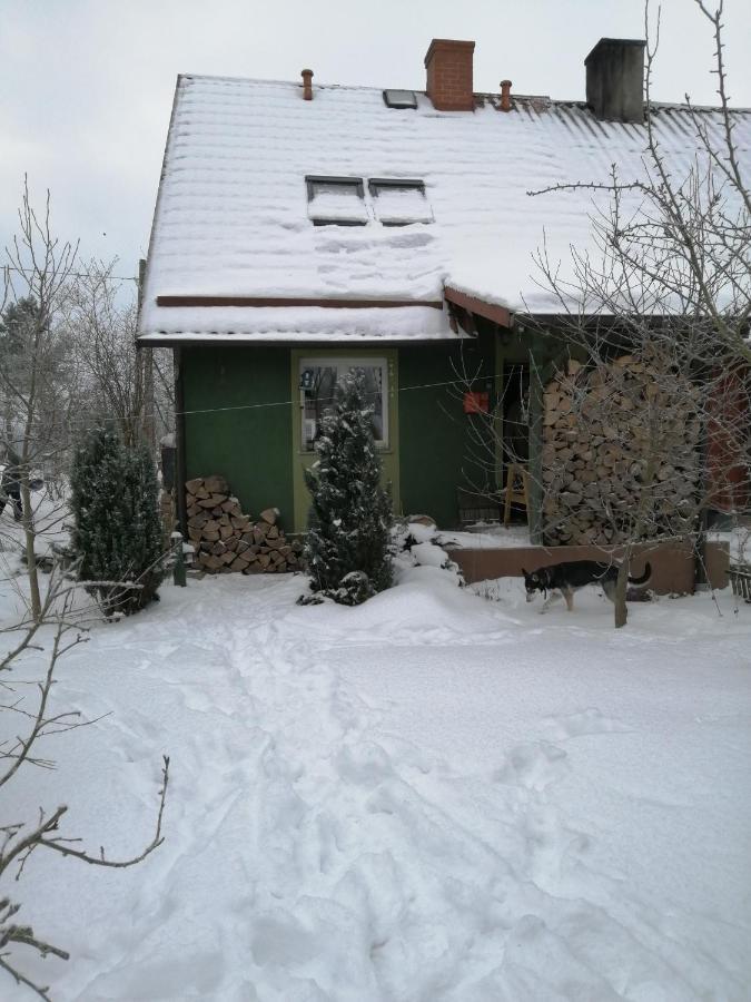 Zielony Domek W Sztynorcie Sztynort Extérieur photo
