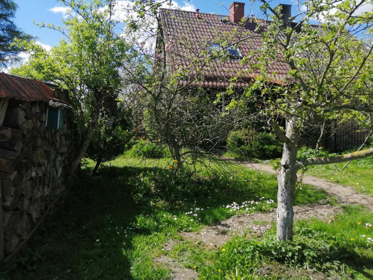 Zielony Domek W Sztynorcie Sztynort Extérieur photo